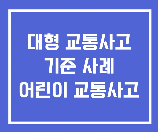 대형 교통사고 기준 사례 어린이 교통사고 대형 교통사고 기준 사례 어린이 교통사고