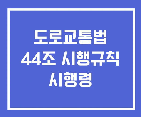 도로교통법 44조 시행규칙 시행령