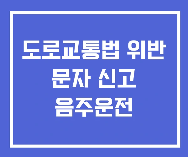 도로교통법 위반 문자 신고 음주운전