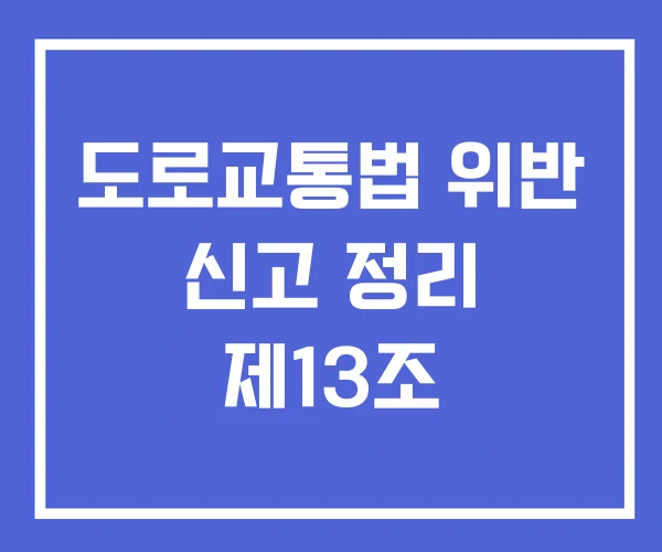 도로교통법 위반 신고 정리 제13조