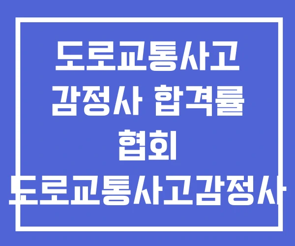 도로교통사고 감정사 합격률 협회 도로교통사고감정사 1차 기출문제집 도로교통사고 감정사 합격률 협회 도로교통사고감정사 1차 기출문제집