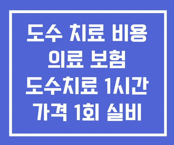 도수 치료 비용 의료 보험 도수치료 1시간 가격 1회 실비 도수 치료 비용 의료 보험 도수치료 1시간 가격 1회 실비