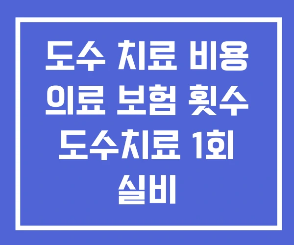 도수 치료 비용 의료 보험 횟수 도수치료 1회 실비