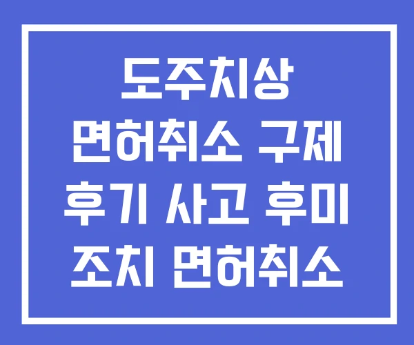 도주치상 면허취소 구제 후기 사고 후미 조치 면허취소 도주치상 면허취소 구제 후기 사고 후미 조치 면허취소