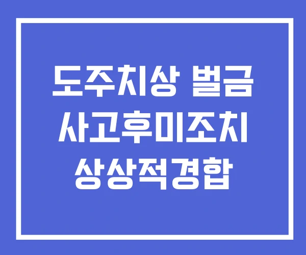 도주치상 벌금 사고후미조치 상상적경합 도주치상 벌금 사고후미조치 상상적경합