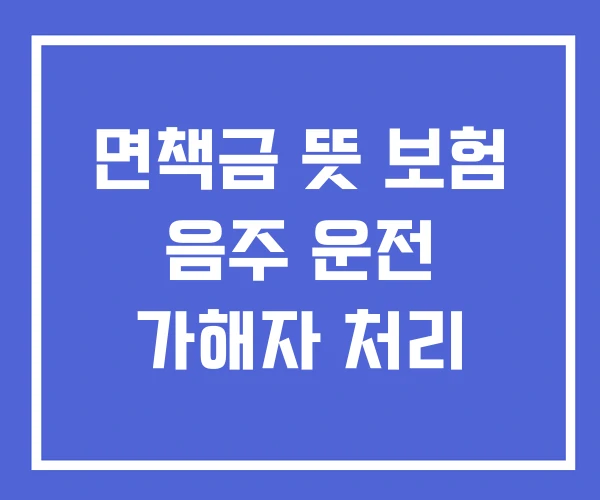 면책금 뜻 보험 음주 운전 가해자 처리 면책금 뜻 보험 음주 운전 가해자 처리