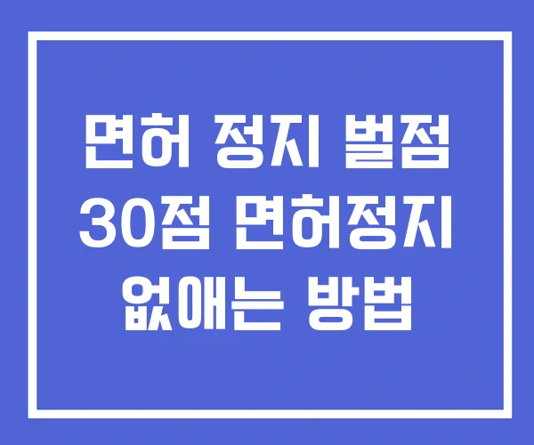 면허 정지 벌점 30점 면허정지 없애는 방법