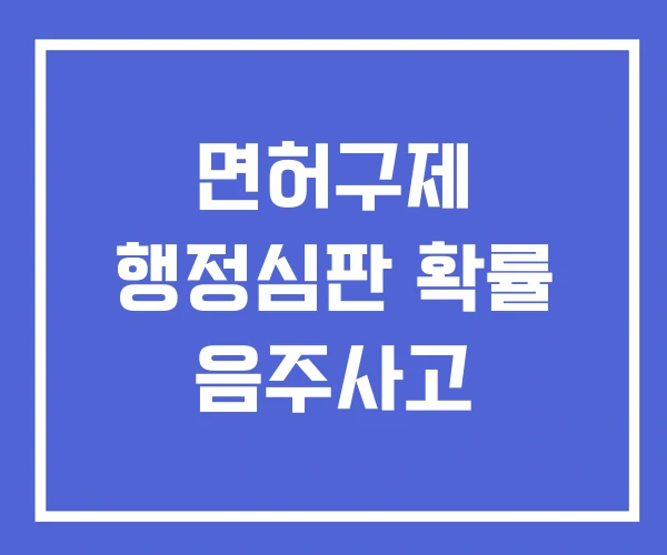 면허구제 행정심판 확률 음주사고