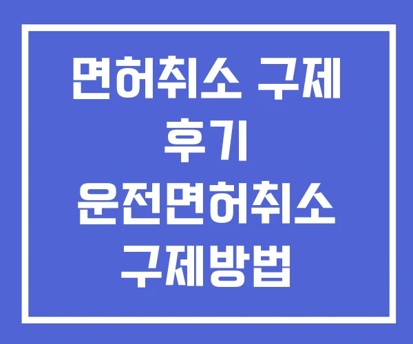 면허취소 구제 후기 운전면허취소 구제방법 음주운전 2회 면허취소 구제 후기 운전면허취소 구제방법 음주운전 2회