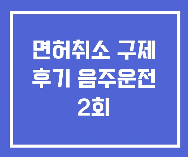 면허취소 구제 후기 음주운전 2회 면허취소 구제 후기 음주운전 2회