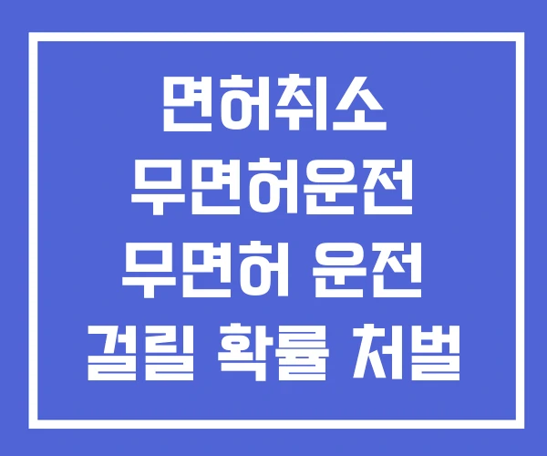 면허취소 무면허운전 무면허 운전 걸릴 확률 처벌 벌금 면허취소 무면허운전 무면허 운전 걸릴 확률 처벌 벌금