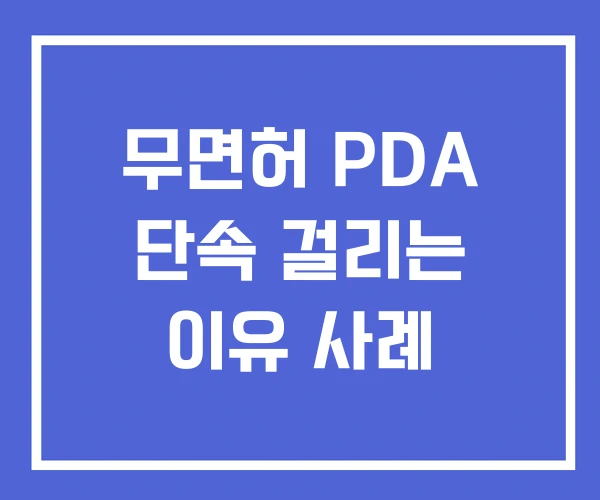 무면허 PDA 단속 걸리는 이유 사례