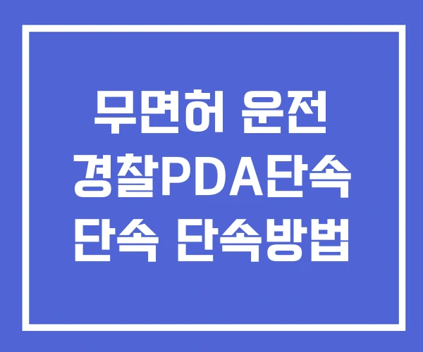 무면허 운전 경찰PDA단속 단속 단속방법