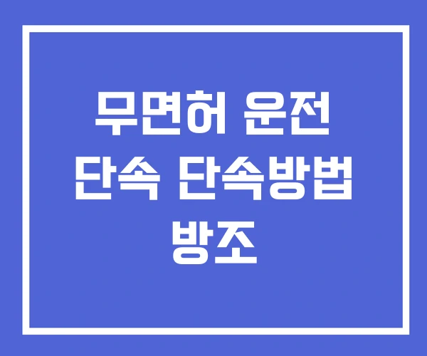 무면허 운전 단속 단속방법 방조