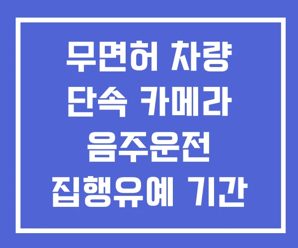무면허 차량 단속 카메라 음주운전 집행유예 기간 중 벌금 사례