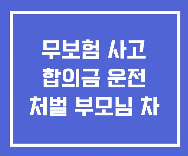 무보험 사고 합의금 운전 처벌 부모님 차