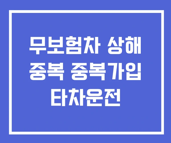 무보험차 상해 중복 중복가입 타차운전 무보험차 상해 중복 중복가입 타차운전