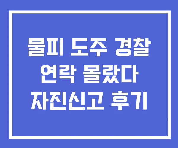 물피 도주 경찰 연락 몰랐다 자진신고 후기