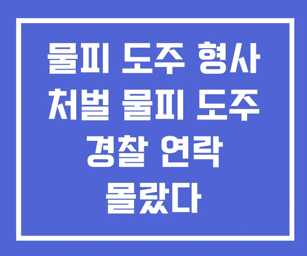 물피 도주 형사 처벌 물피 도주 경찰 연락 몰랐다 물피 도주 형사 처벌 물피 도주 경찰 연락 몰랐다