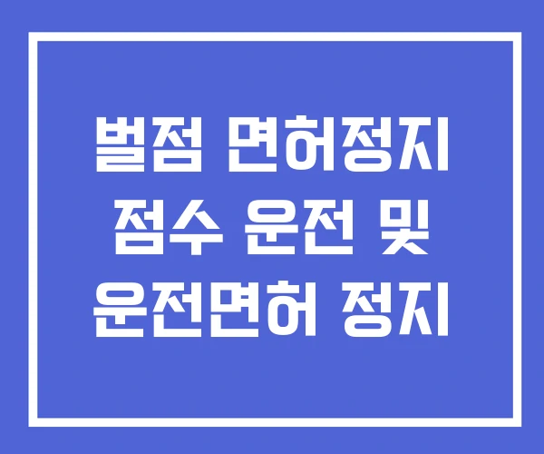 벌점 면허정지 점수 운전 및 운전면허 정지 벌점 면허정지 점수 운전 및 운전면허 정지