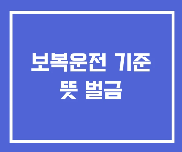 보복운전 기준 뜻 벌금