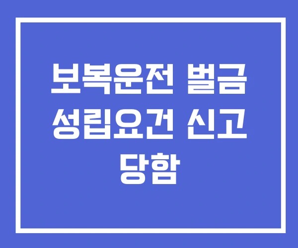 보복운전 벌금 성립요건 신고 당함 보복운전 벌금 성립요건 신고 당함