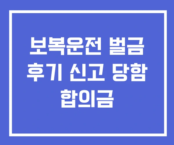 보복운전 벌금 후기 신고 당함 합의금 보복운전 벌금 후기 신고 당함 합의금