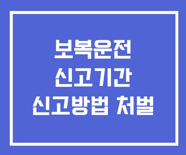 보복운전 신고기간 신고방법 처벌