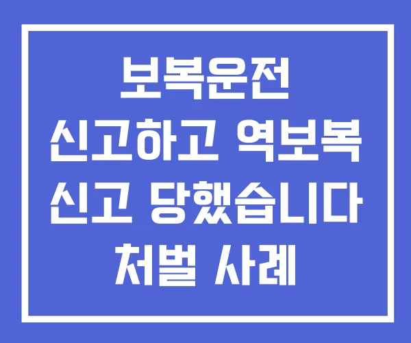 보복운전 신고하고 역보복 신고 당했습니다 처벌 사례 합의금 보복운전 신고하고 역보복 신고 당했습니다 처벌 사례 합의금