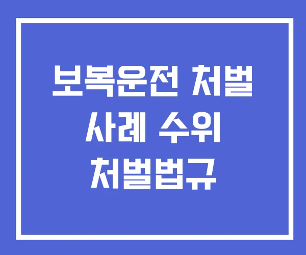 보복운전 처벌 사례 수위 처벌법규