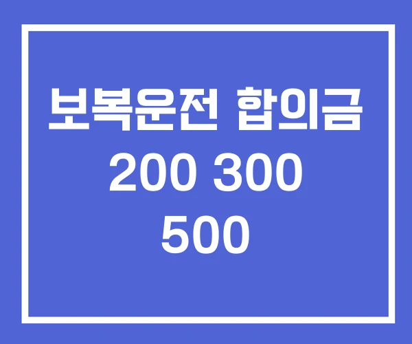 보복운전 합의금 200 300 500