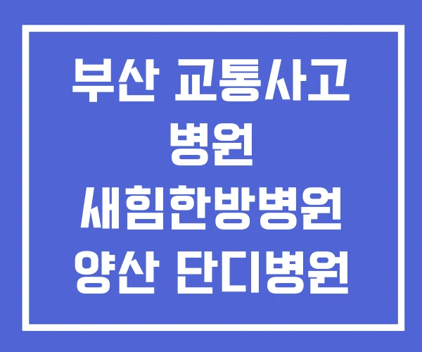 부산 교통사고 병원 새힘한방병원 양산 단디병원 부산 교통사고 병원 새힘한방병원 양산 단디병원