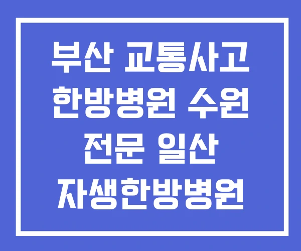 부산 교통사고 한방병원 수원 전문 일산 자생한방병원 입원치료