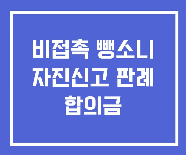 비접촉 뺑소니 자진신고 판례 합의금 비접촉 뺑소니 자진신고 판례 합의금