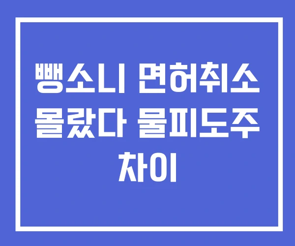 뺑소니 면허취소 몰랐다 물피도주 차이