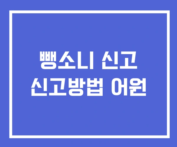 뺑소니 신고 신고방법 어원 뺑소니 신고 신고방법 어원