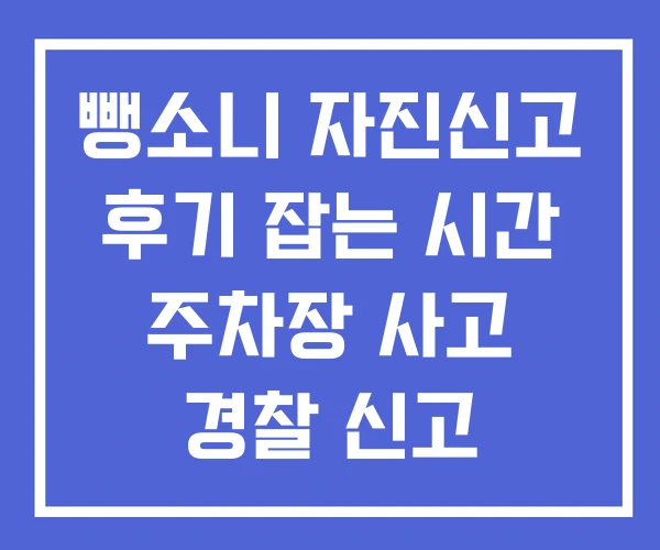 뺑소니 자진신고 후기 잡는 시간 주차장 사고 경찰 신고