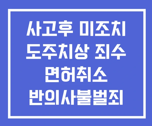 사고후 미조치 도주치상 죄수 면허취소 반의사불벌죄