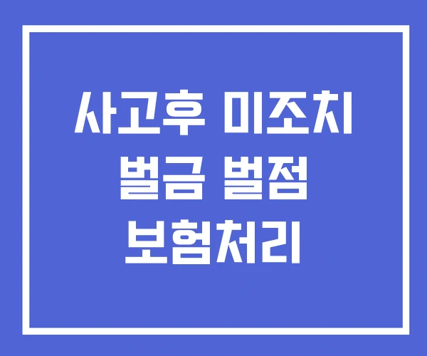 사고후 미조치 벌금 벌점 보험처리 사고후 미조치 벌금 벌점 보험처리