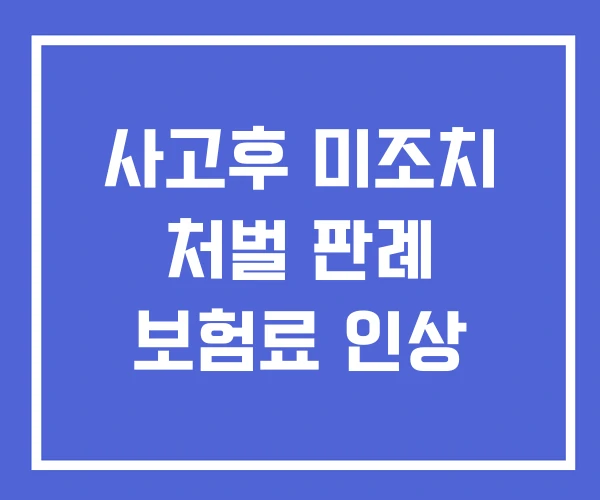사고후 미조치 처벌 판례 보험료 인상 사고후 미조치 처벌 판례 보험료 인상
