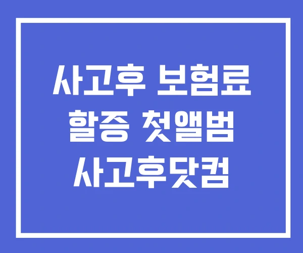 사고후 보험료 할증 첫앨범 사고후닷컴
