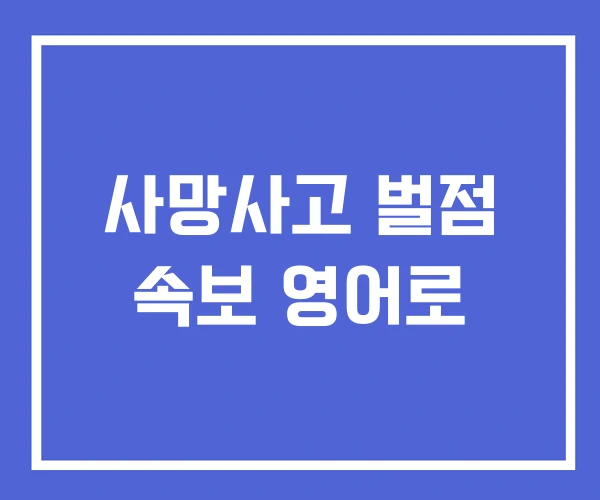사망사고 벌점 속보 영어로