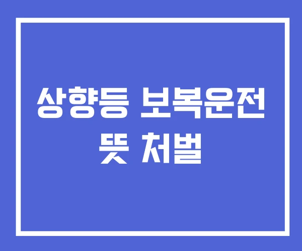 상향등 보복운전 뜻 처벌 상향등 보복운전 뜻 처벌