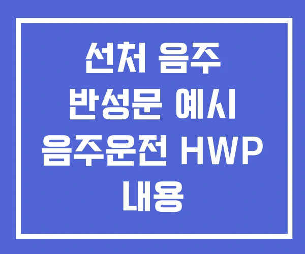 선처 음주 반성문 예시 음주운전 HWP 내용