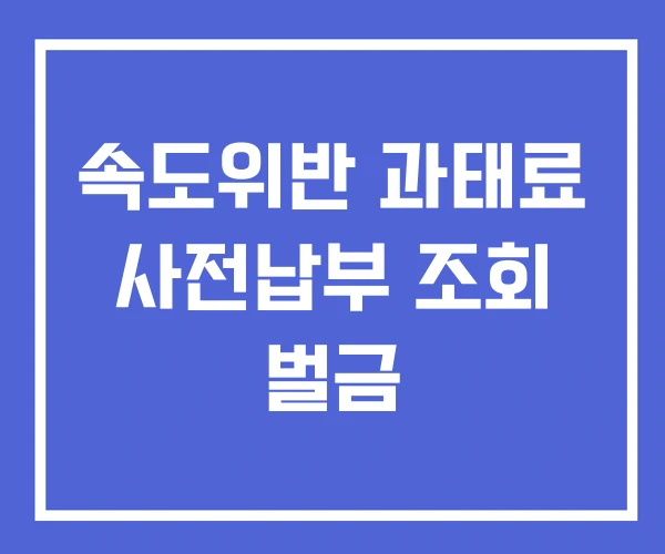 속도위반 과태료 사전납부 조회 벌금 속도위반 과태료 사전납부 조회 벌금