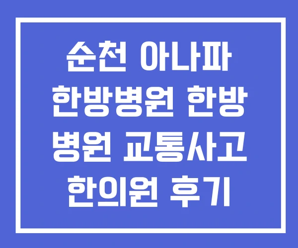 순천 아나파 한방병원 한방 병원 교통사고 한의원 후기 순천 아나파 한방병원 한방 병원 교통사고 한의원 후기