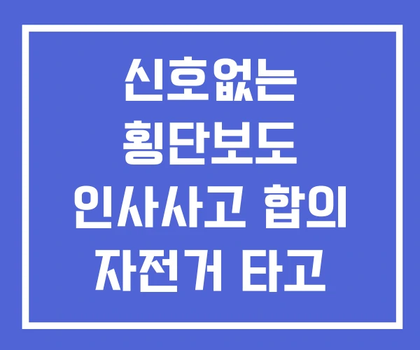 신호없는 횡단보도 인사사고 합의 자전거 타고 사고 판결 신호없는 횡단보도 인사사고 합의 자전거 타고 사고 판결