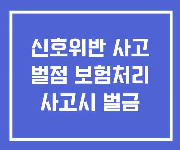 신호위반 사고 벌점 보험처리 사고시 벌금 신호위반 사고 벌점 보험처리 사고시 벌금