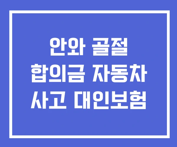 안와 골절 합의금 자동차 사고 대인보험 안와 골절 합의금 자동차 사고 대인보험