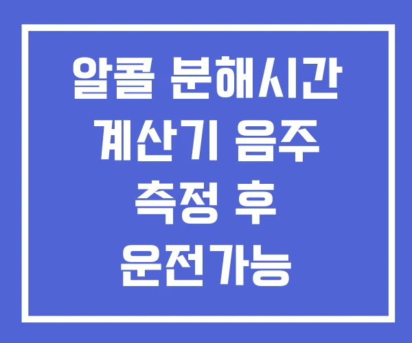 알콜 분해시간 계산기 음주 측정 후 운전가능 알콜 분해시간 계산기 음주 측정 후 운전가능